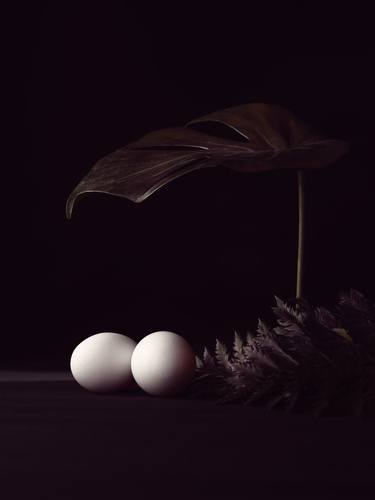 Print of Botanic Photography by CHUAN CHENG CHOU