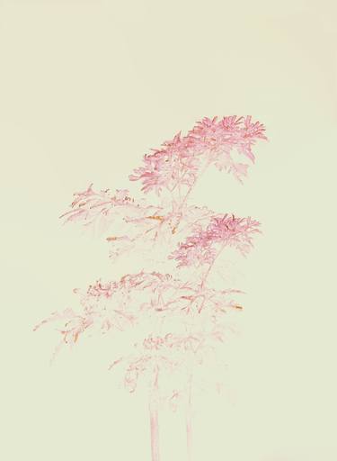 Original Botanic Photography by CHUAN CHENG CHOU