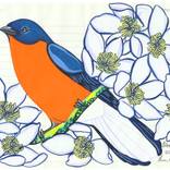Eastern Bluebird by Fran Giffard