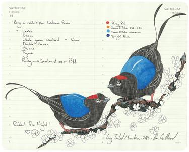 Long Tailed Manakin thumb