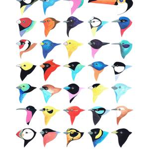 Collection Local Spotlight: London