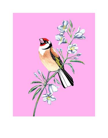 Goldfinch and Bellflower - Limited Edition of 25 thumb