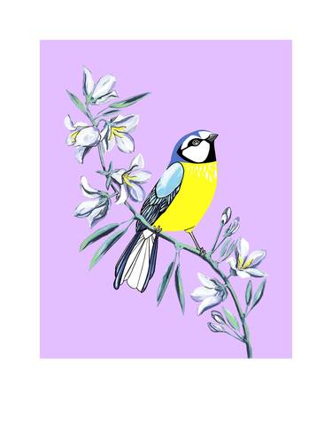 Blue Tit and Bellflower - Limited Edition of 25 thumb