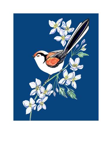 Long Tailed Tit and Clematis - Limited Edition of 25 thumb
