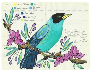 Turquoise Honeycreeper thumb