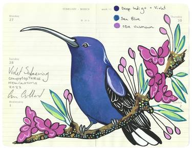 Violet Sabrewing Hummingbird thumb