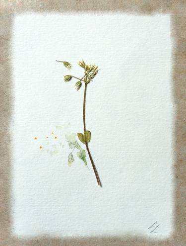 Print of Minimalism Floral Photography by Sonia Litwin