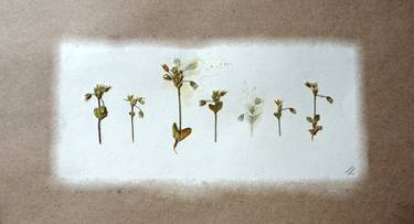 Print of Minimalism Floral Photography by Sonia Litwin