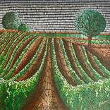 Vineyards by daria dmitrieva