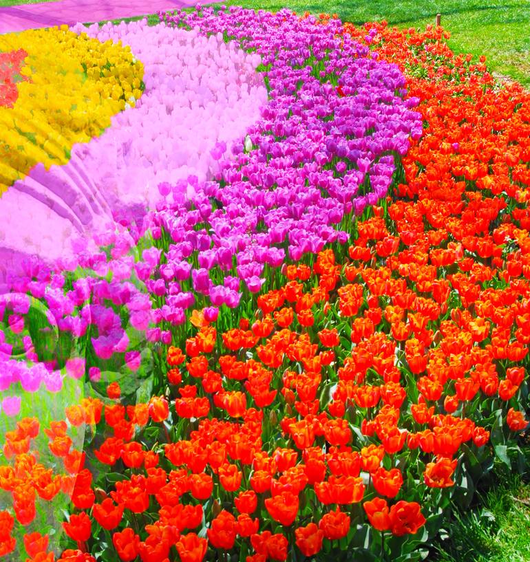 Original Conceptual Fantasy Digital by Mustafa UğUr Gökhan