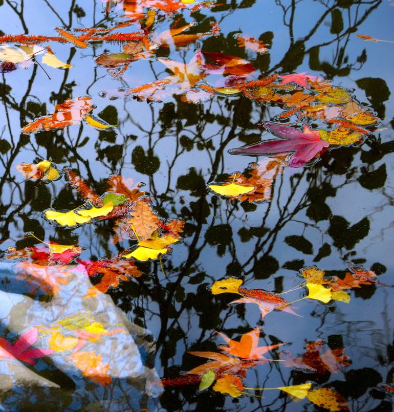 Original Conceptual Fantasy Digital by Mustafa UğUr Gökhan