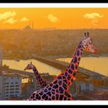 Collection Istanbul Tales
