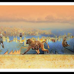 Collection Istanbul Tales