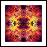Collection Microcosm