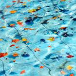 Collection Abstract-Color