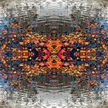 Collection Autumn Symphony