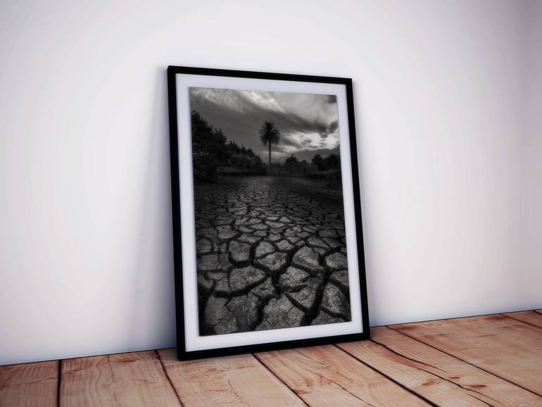 Original Other Landscape Photography by Lloyd Benliro