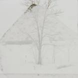 Collection Didier Damiani, independent curator