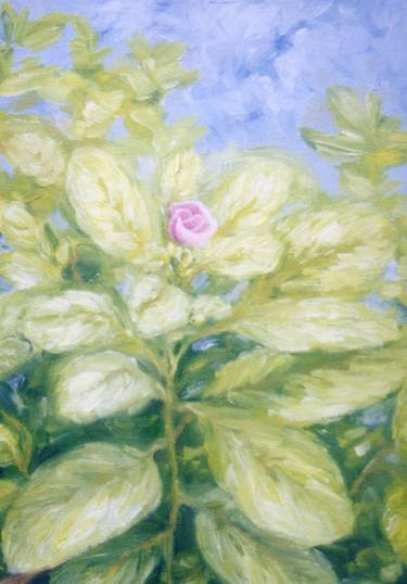 Print of Impressionism Floral Paintings by Albert Zambrano