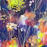 Collection New Traditional