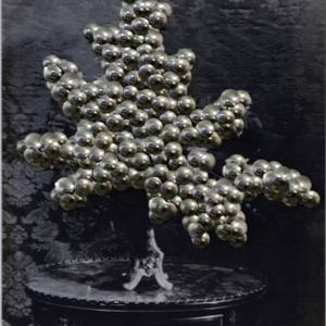 Spawn_flora VI