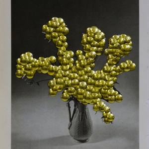 Spawn_flora IX