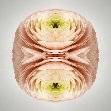 Original Modernism Botanic Photography by Erin Derby