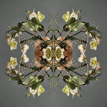 Original Abstract Botanic Photography by Erin Derby