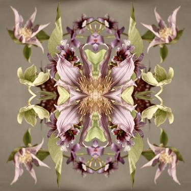 Original Abstract Botanic Photography by Erin Derby