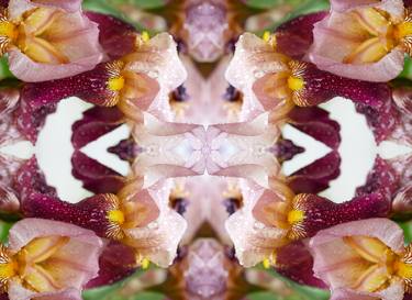 Original Abstract Botanic Photography by Erin Derby