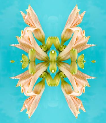 Original Abstract Botanic Photography by Erin Derby