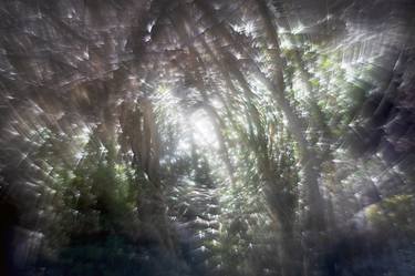 Dreamlike Bokeh Vortex with Orb in Nature #32 - Limited Edition of 1 thumb