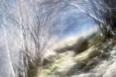 Dreamlike Bokeh Vortex in Nature #34 - Limited Edition of 1 thumb