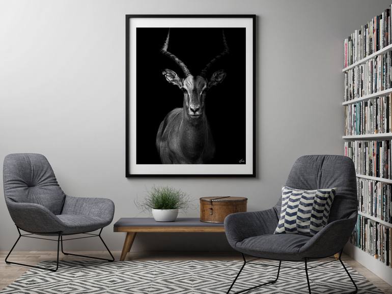 Original Art Deco Other Photography by T-Gonzalez Fine-Art