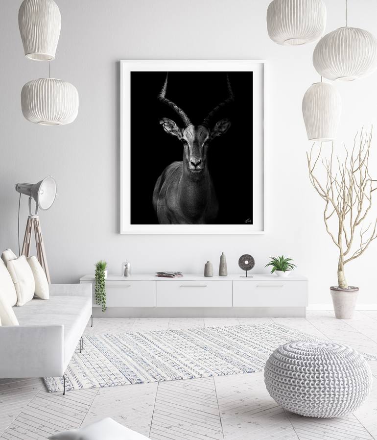 Original Art Deco Other Photography by T-Gonzalez Fine-Art