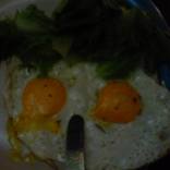 Portrait of a Fake Foodie, the awakening and revolt of taste vs plate populism by Nicolas Occhiminuti