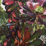 Red Succulent by Marisha Matthews