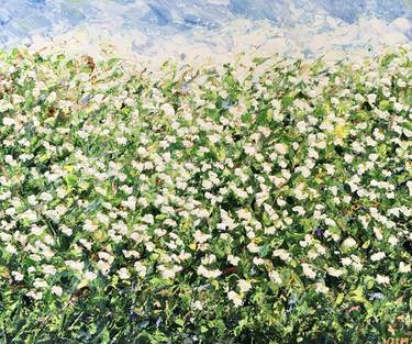 Daisies Flowers Field Oil Painting On Canvas Original Artwork thumb