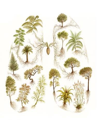 Original Illustration Nature Paintings by Alessio Alcini