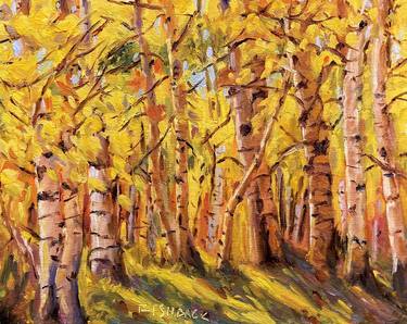 Colorful Aspen Tree Forest thumb