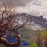 view additional image 1