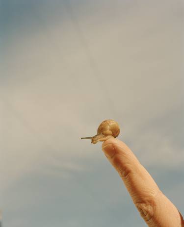 Original Documentary Animal Photography by Vikram Kushwah
