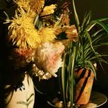 The Sun-Flowers 01 (large size) by Vikram Kushwah