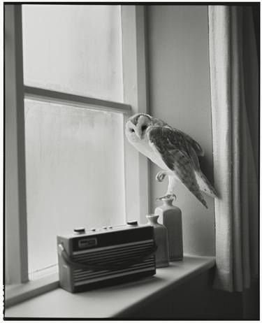 The Owl and the Radio (medium) - Limited Edition #2 of 8 thumb
