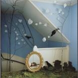 Collection Art for the Luxe Romantic