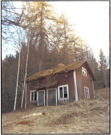 Body and Moss Covered House (small) - Limited Edition 1 of 8 thumb