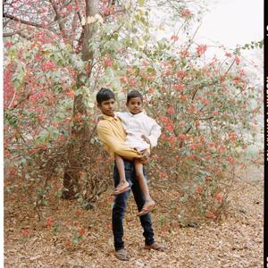 Collection The Poets