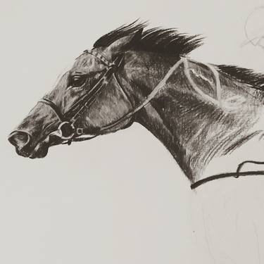 Original Horse Drawing by Anastasia Valentine