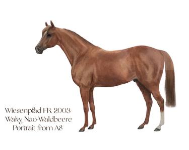Race horse Stallion  - Limited Edition of 200 thumb