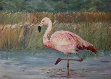 Pink flamingo on the Muga River thumb